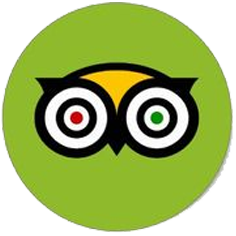 TripAdvisor